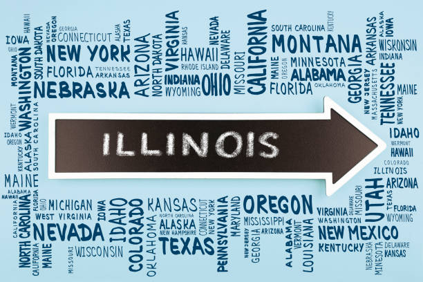 Illinois Business Search: A Comprehensive Guide for Entrepreneurs and Investors Illinois Business Search: A Comprehensive Guide for Entrepreneurs and Investors