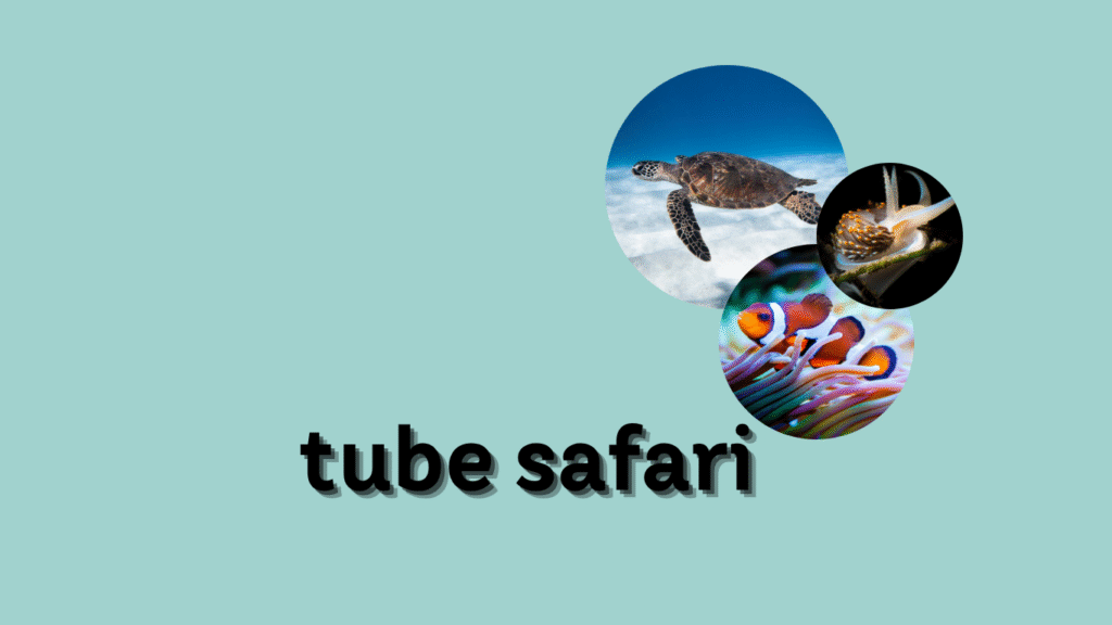 Explore the Thrill of a Tube Safari: A Unique Wildlife Adventure