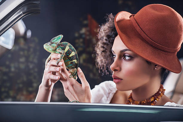 Chameleónovité: Fascinující svět měňavců Chameleónovité: Fascinující svět měňavců